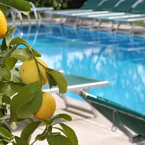 https://hotel-al-sole-bardolino.hotelinveneto.com